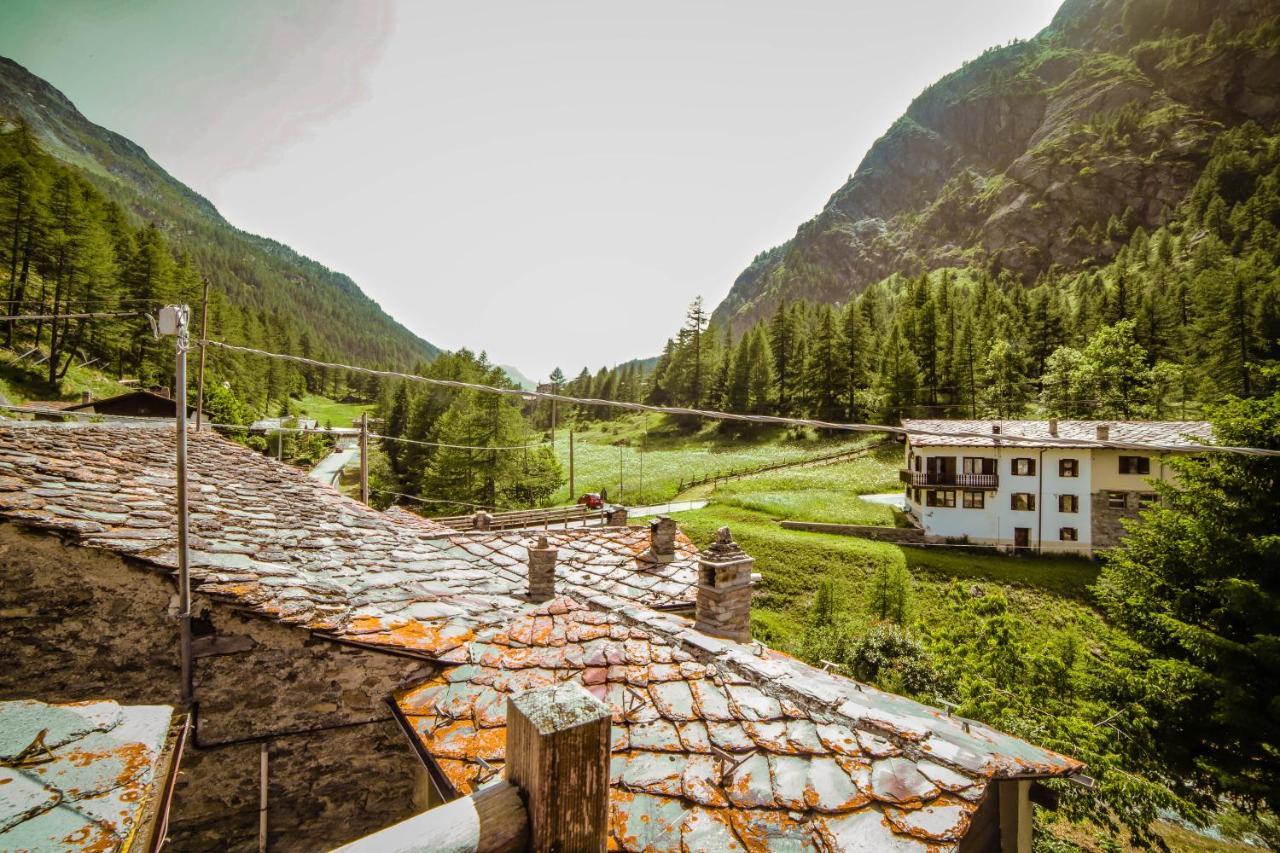 Antica Casa Di Montagna Maison Bovard Valgrisenche Dış mekan fotoğraf